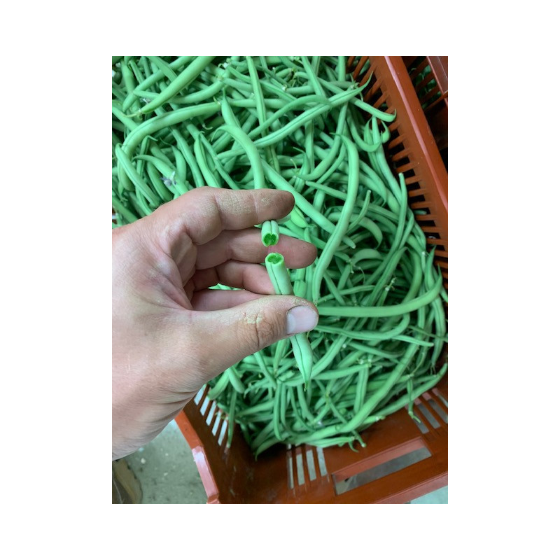 Haricot Vert Bio Livraison De Panier Locaux Toulouse