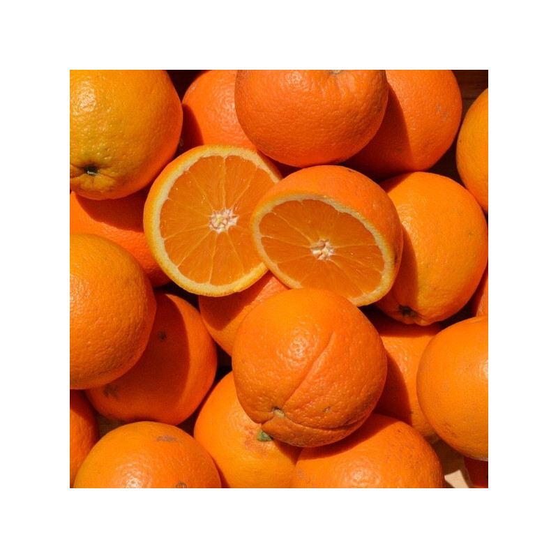 Oranges bio à bouche, 5 pièces