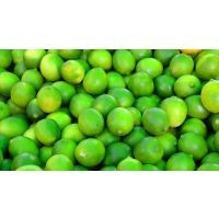 Citron vert bio, 1 pièce