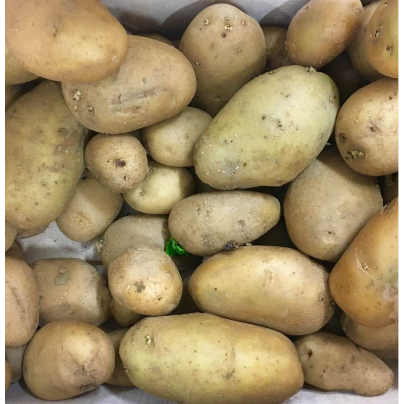 pommes de terre