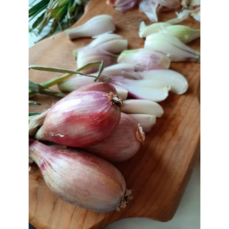 Botte d'échalotes, livraison de légumes d'origine locale sur Toulouse