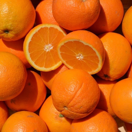 Oranges bio à bouche, 5 pièces