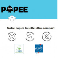 Papier toilette Papernet - 2 plis - lot de 6 rouleaux de 200 feuilles pas  cher