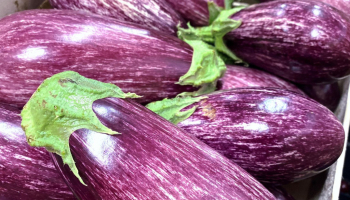 L'aubergine : tout savoir sur ce légume d'été peu calorique !